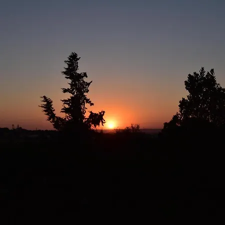 Villacasatulipa-sleeps4-garden-pool-bbq-ac 빌라 *